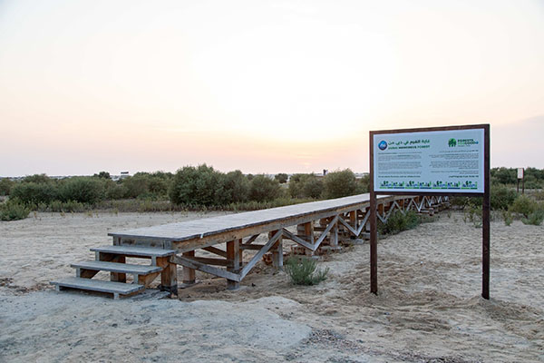 P&G and Carrefour Join Together to Plant 26 Forests in the UAE Image