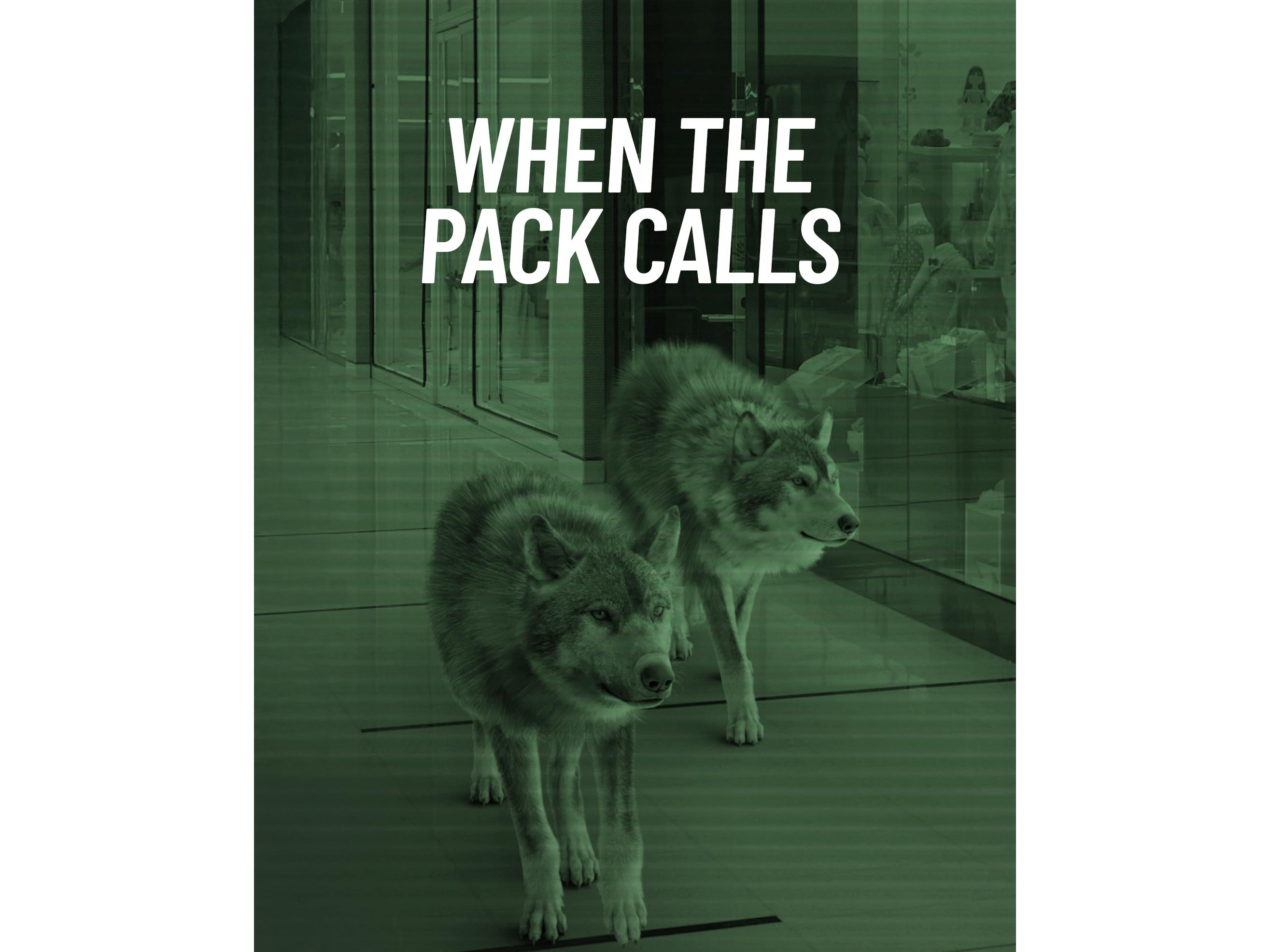 Wolves trail through Dubai Mall for the opening of SQUATWOLF's store Image