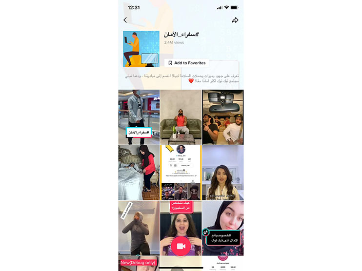 TikTok Safety Ambassadors Program Rolls out in MENA Image
