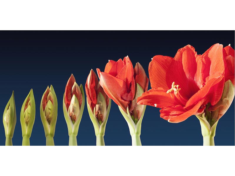 How to grow new customers from seed data