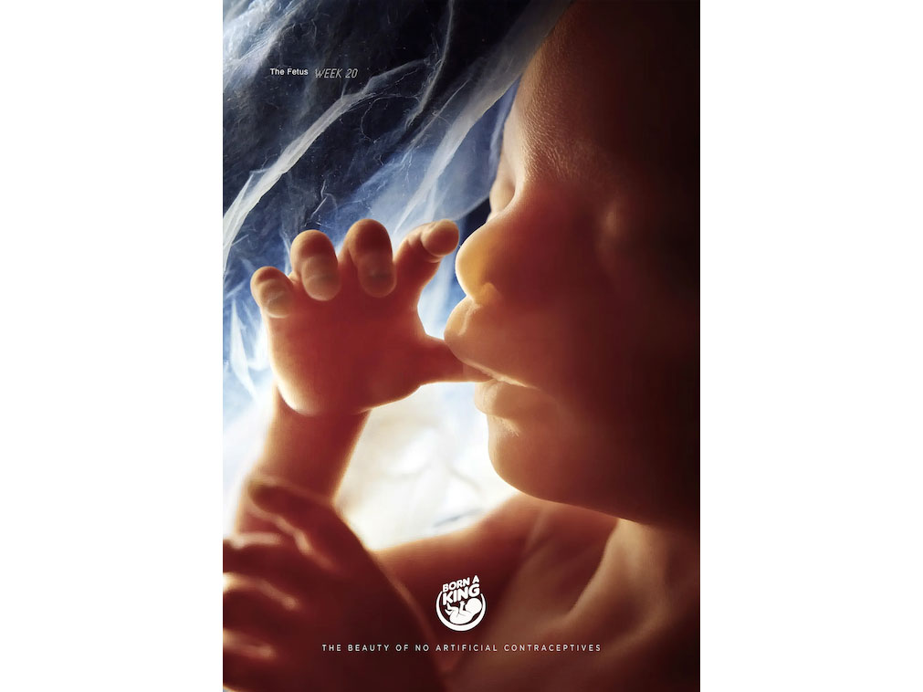 A new non-profit idea has been born to act as an ode to life Image