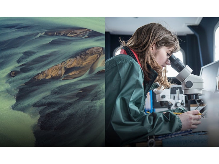 Ericsson Innovation Awards 2020: taking on climate change Image
