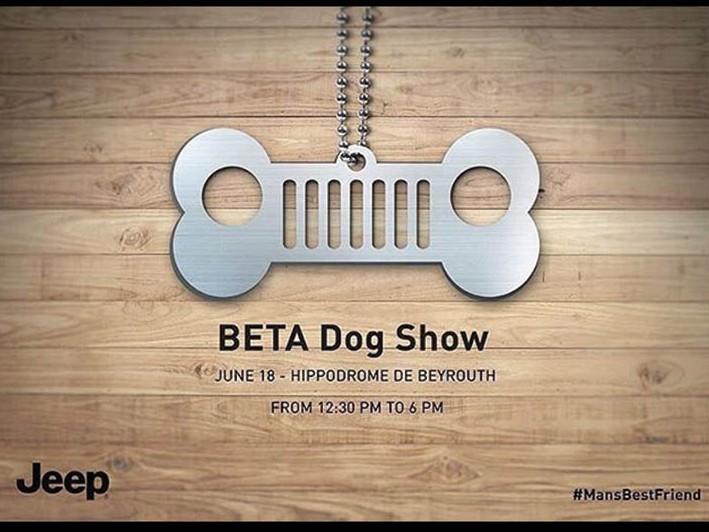Jeep, Man’s Best Friend Image
