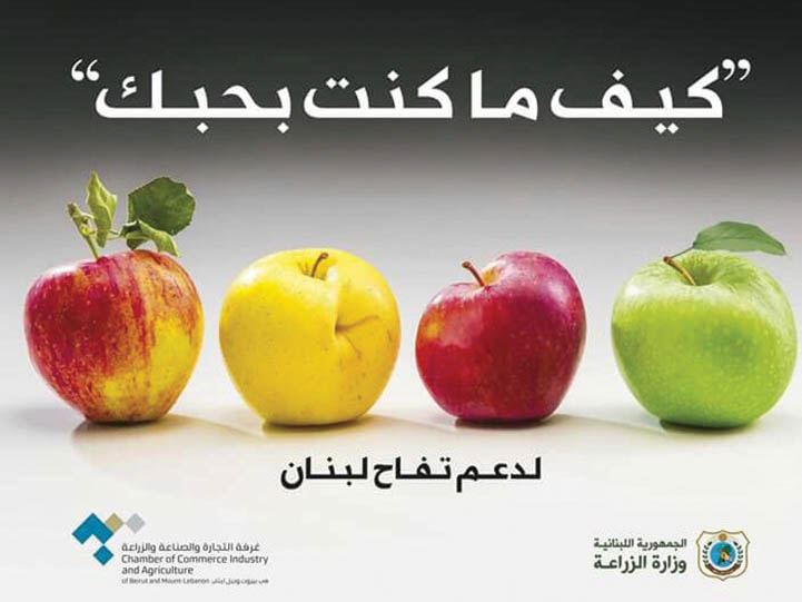 Comparing Apples to Creative Oranges Image