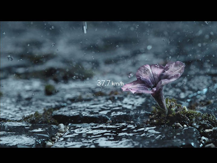 Pulse-Stopping Beauty Spotted in Dynamic New Hyundai Campaign Image
