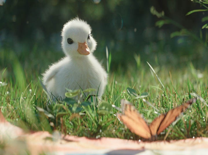 A Heartwarming Fairytale Film by BETC for Disneyland Paris, 'Where Magic Gets Real' Image