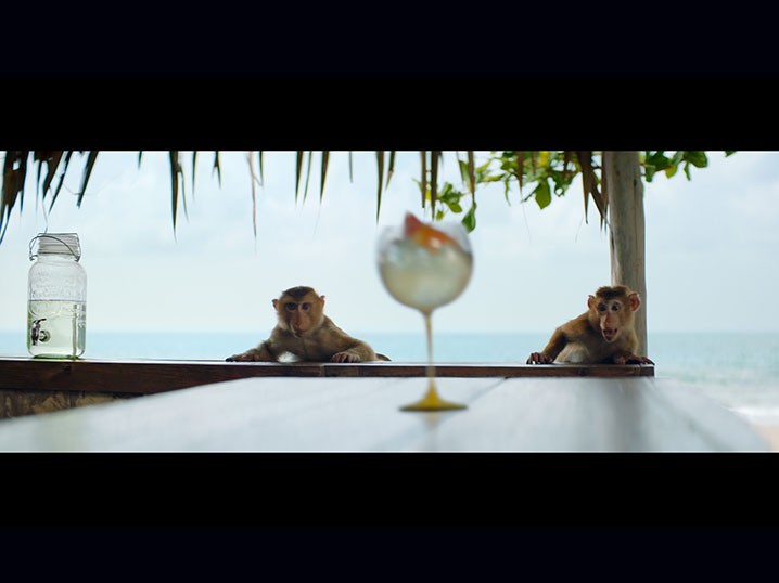Heist in the Tropics, the new film by  Schweppes and BETC Image