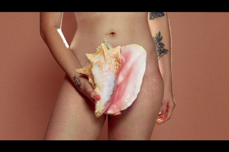 Viva la Vulva Viva la Vulva