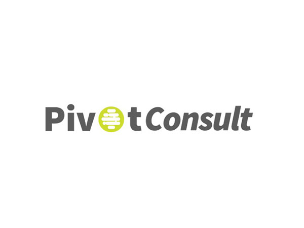 PivotRoots launches its MarTech lab and consulting division PivotConsult Image