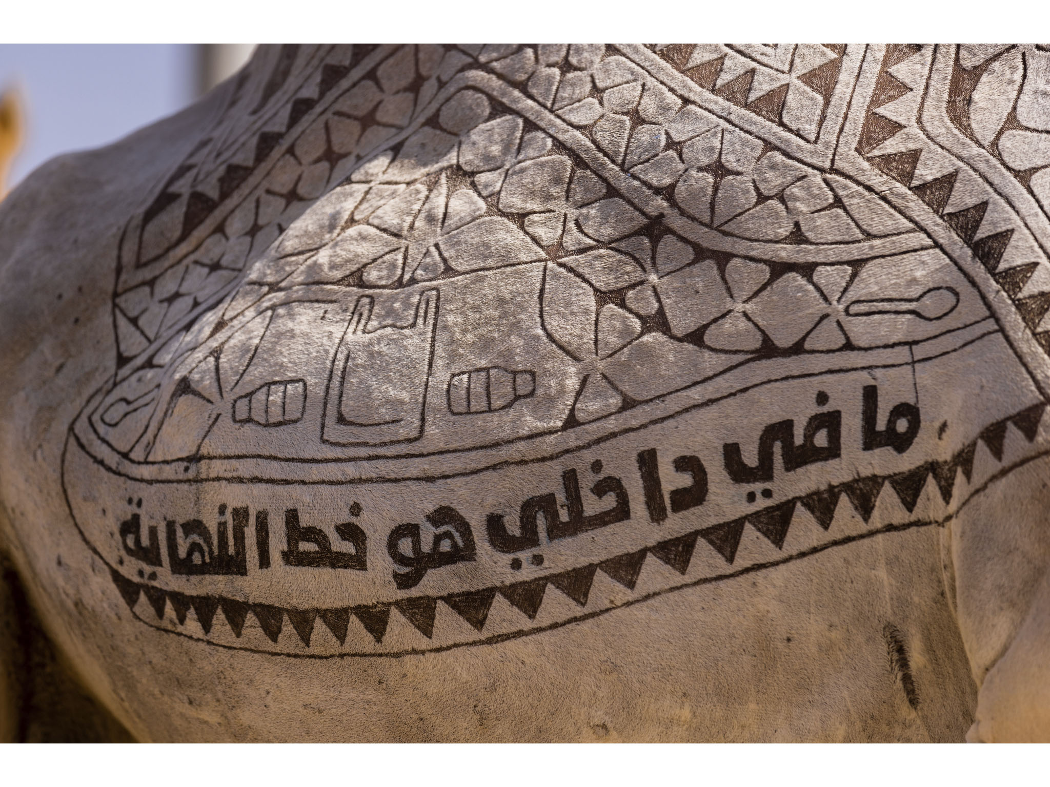 ‘My race is against what’s inside me’ reads the Arabic message of the camel's body ‘My race is against what’s inside me’ reads the Arabic message of the camel's body