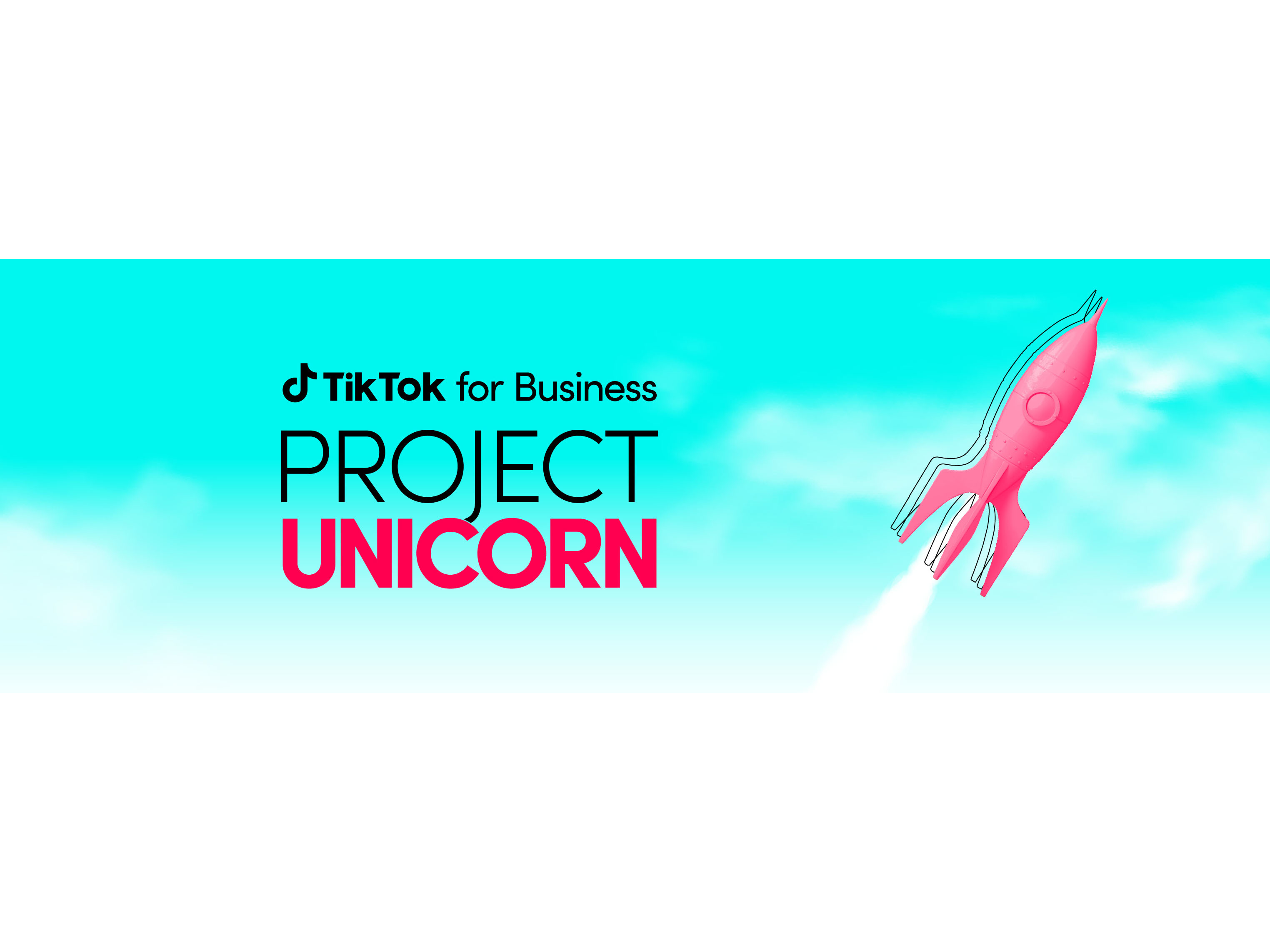 TikTok’s Project Unicorn provides opportunities for MENA startups  Image