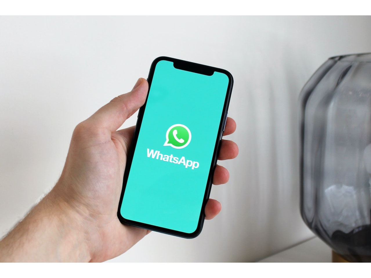 WhatsApp is the favorite platform among social media users Image