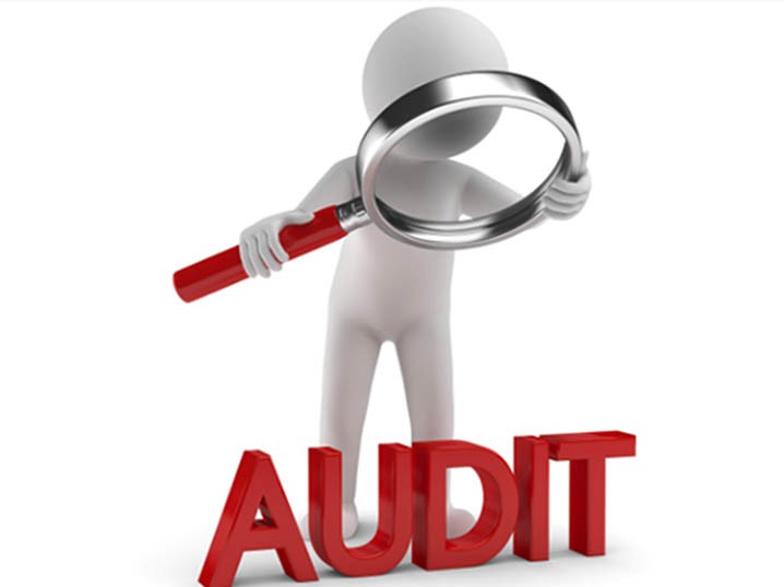 Arabad Who Audits The Auditor 