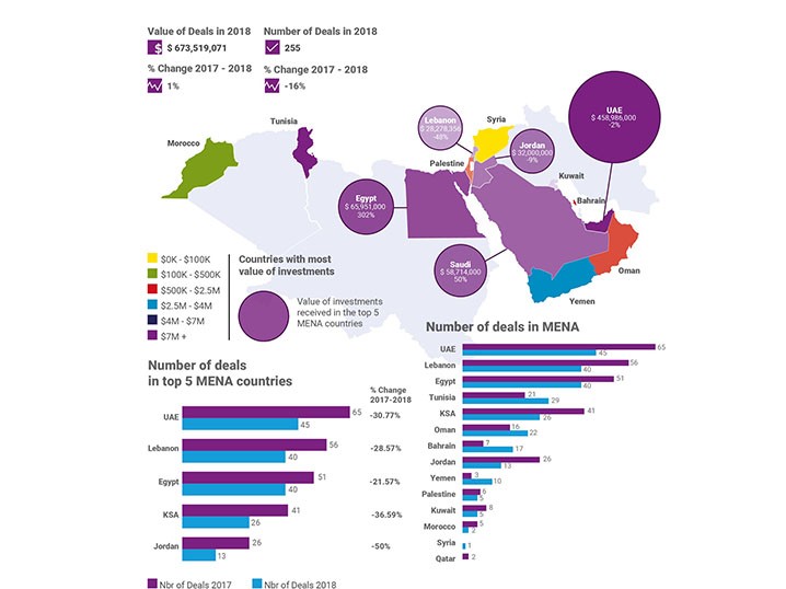 The State of Digital Investments in MENA (2013-2018)