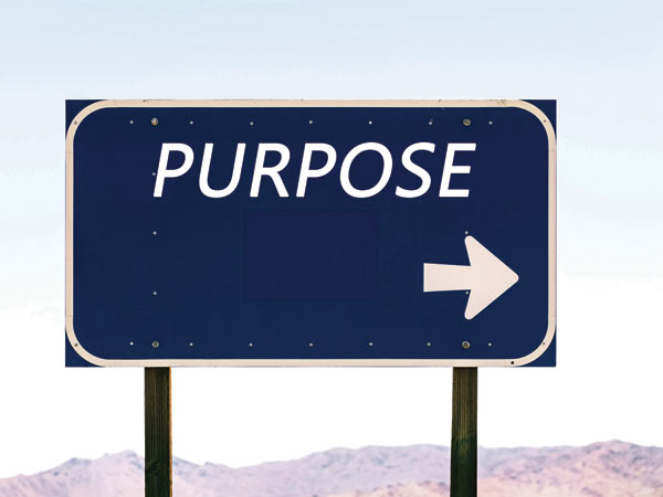 A sense of purpose