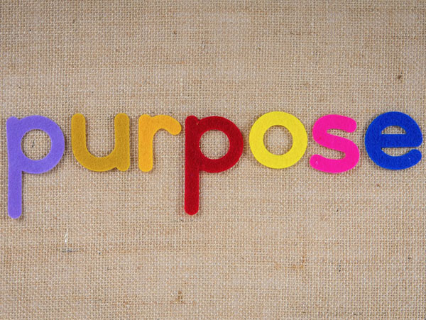 Creating Work That Matters: How Purpose-Driven Results Shape Perception